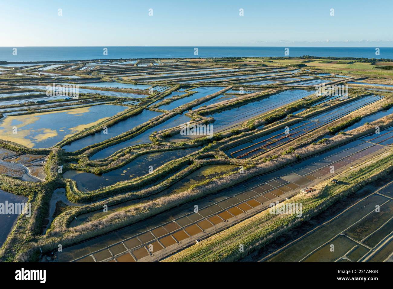 Francia, Charente Maritime, Ile de Ré, Ars en Ré, Les Plus Beaux Villages de France (i villaggi più belli della Francia), Fier d'Ars, le saline, la riserva naturale nazionale Lilleau des Niges (vista aerea) Foto Stock