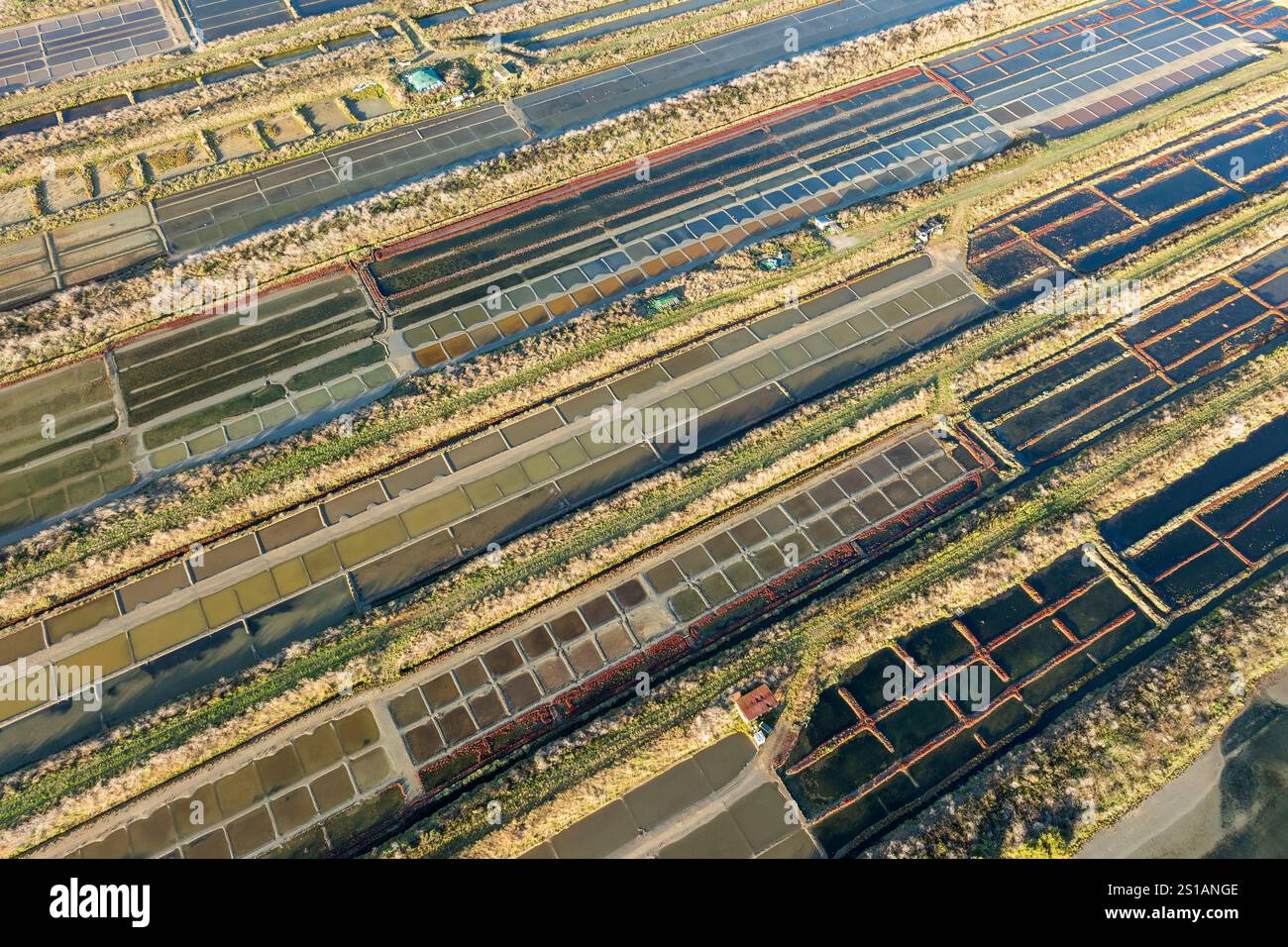 Francia, Charente Maritime, Ile de Ré, Ars en Ré, Les Plus Beaux Villages de France (i villaggi più belli della Francia), Fier d'Ars, le saline, la riserva naturale nazionale Lilleau des Niges (vista aerea) Foto Stock