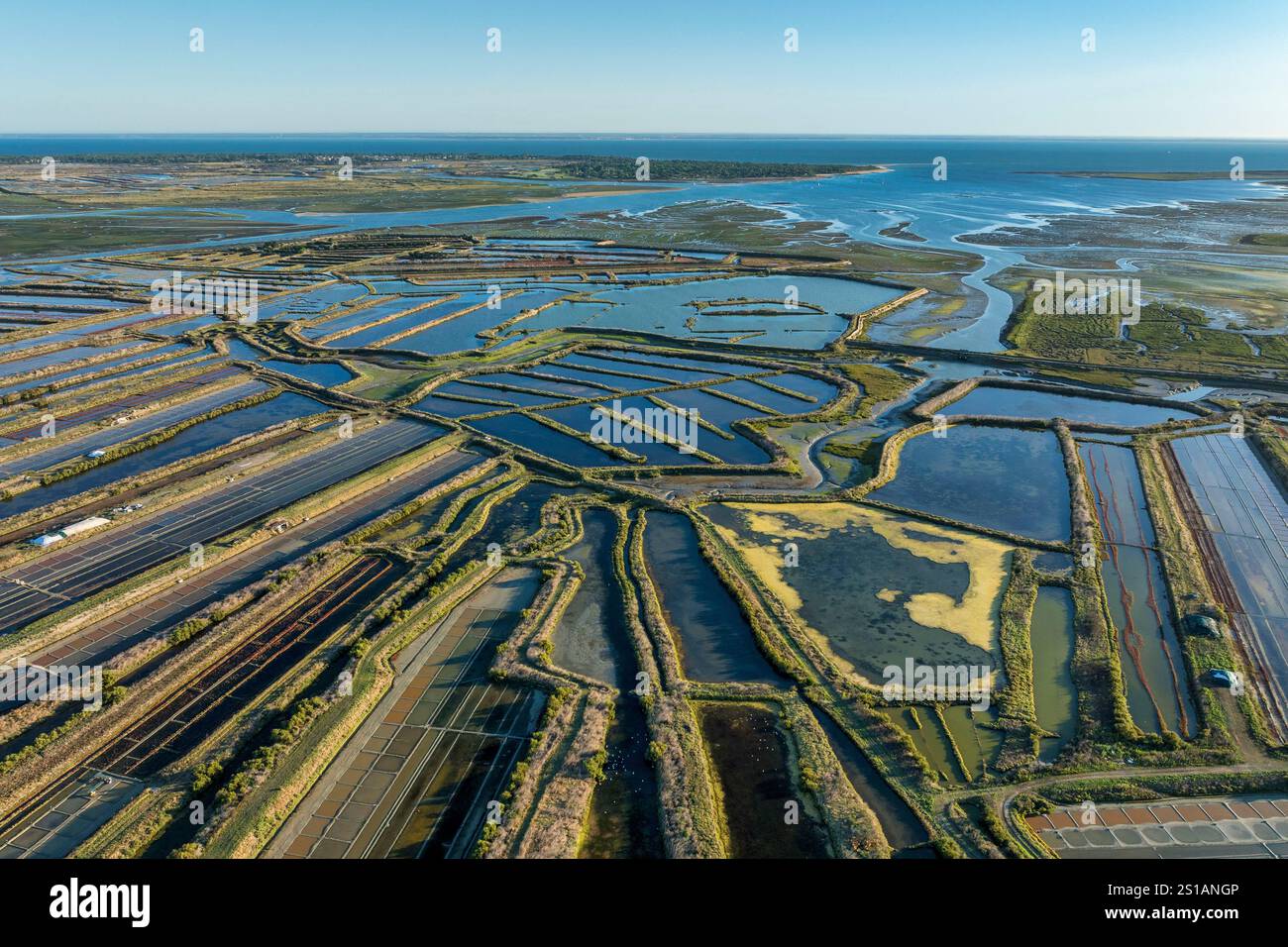 Francia, Charente Maritime, Ile de Ré, Ars en Ré, Les Plus Beaux Villages de France (i villaggi più belli della Francia), Fier d'Ars, le saline, la riserva naturale nazionale Lilleau des Niges (vista aerea) Foto Stock