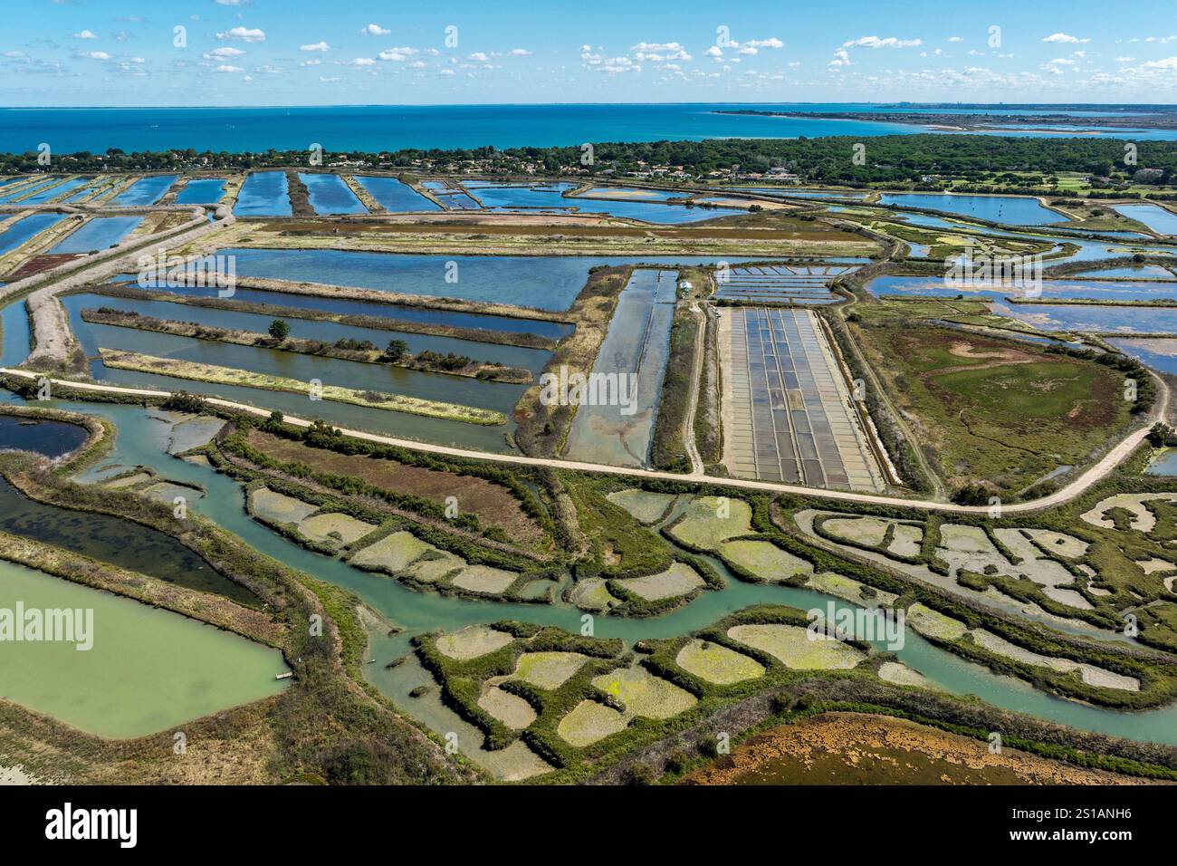 Francia, Charente Maritime, Ile de Ré, les Portes en Ré, le Fier d'Ars, saline (vista aerea) Foto Stock