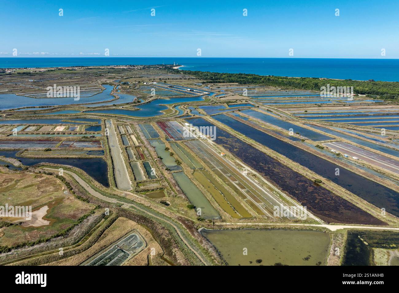 Francia, Charente Maritime, Ile de Ré, les Portes en Ré, le Fier d'Ars, saline (vista aerea) Foto Stock