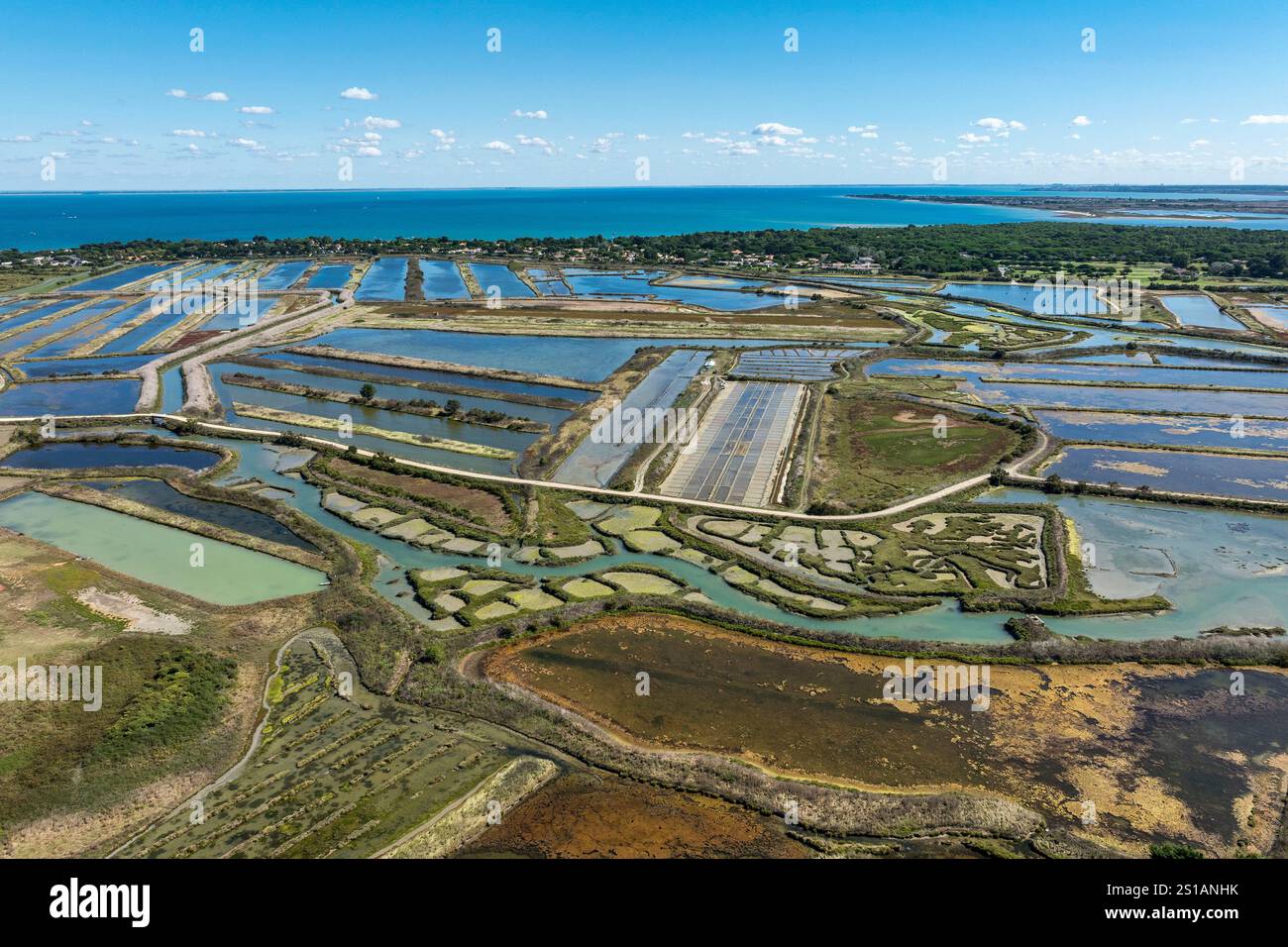 Francia, Charente Maritime, Ile de Ré, les Portes en Ré, le Fier d'Ars, saline (vista aerea) Foto Stock