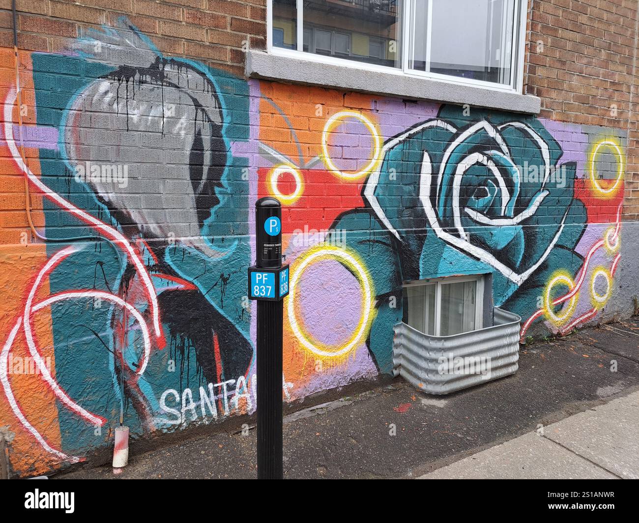 Murale femminile e rosa su City Hall Avenue nel centro di Montreal, Quebec, Canada Foto Stock