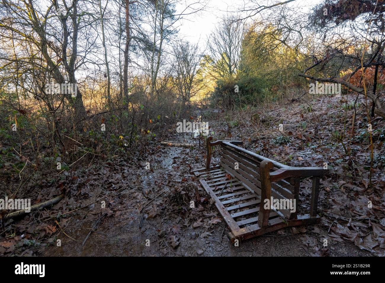 Fletcher Moss Park and Gardens, Didsbury, Manchester. Gli escursionisti hanno trovato sentieri sommersi, panchine sommerse e cartelli informativi del parco. La pulizia inizia a seguito di estese inondazioni nel sud di Manchester a seguito di forti piogge all'inizio del nuovo anno. Il Northenden Golf Club (vicino a Didsbury) fu inondato di auto, tra cui una Porsche coperta di detriti dall'acqua inondata. Il campo è stato completamente inondato di acqua e detriti che coprono i verdi con bandiere che si aprono. La club House è totalmente circondata dall'acqua. Il parco e i giardini Fletcher Moss si trovano nelle vicinanze Foto Stock