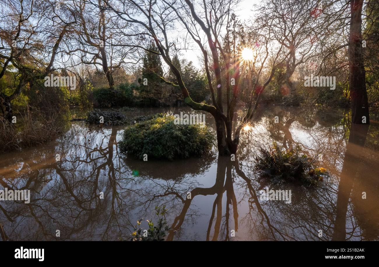 Fletcher Moss Park and Gardens, Didsbury, Manchester. Gli escursionisti hanno trovato sentieri sommersi, panchine sommerse e cartelli informativi del parco. La pulizia inizia a seguito di estese inondazioni nel sud di Manchester a seguito di forti piogge all'inizio del nuovo anno. Il Northenden Golf Club (vicino a Didsbury) fu inondato di auto, tra cui una Porsche coperta di detriti dall'acqua inondata. Il campo è stato completamente inondato di acqua e detriti che coprono i verdi con bandiere che si aprono. La club House è totalmente circondata dall'acqua. Il parco e i giardini Fletcher Moss si trovano nelle vicinanze Foto Stock