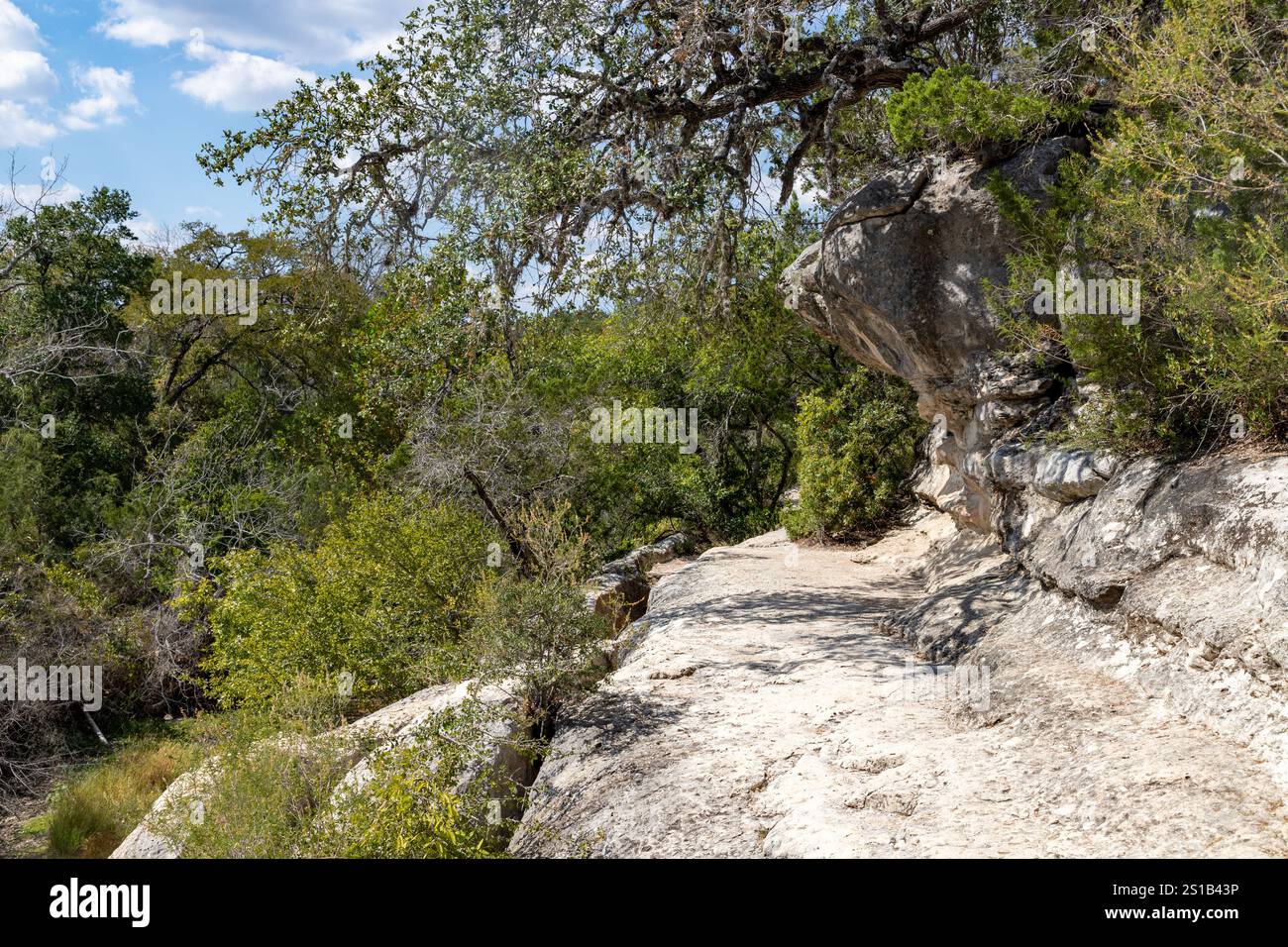 Sentiero con rocce e alberi a Wimberley, Texa, USA Foto Stock