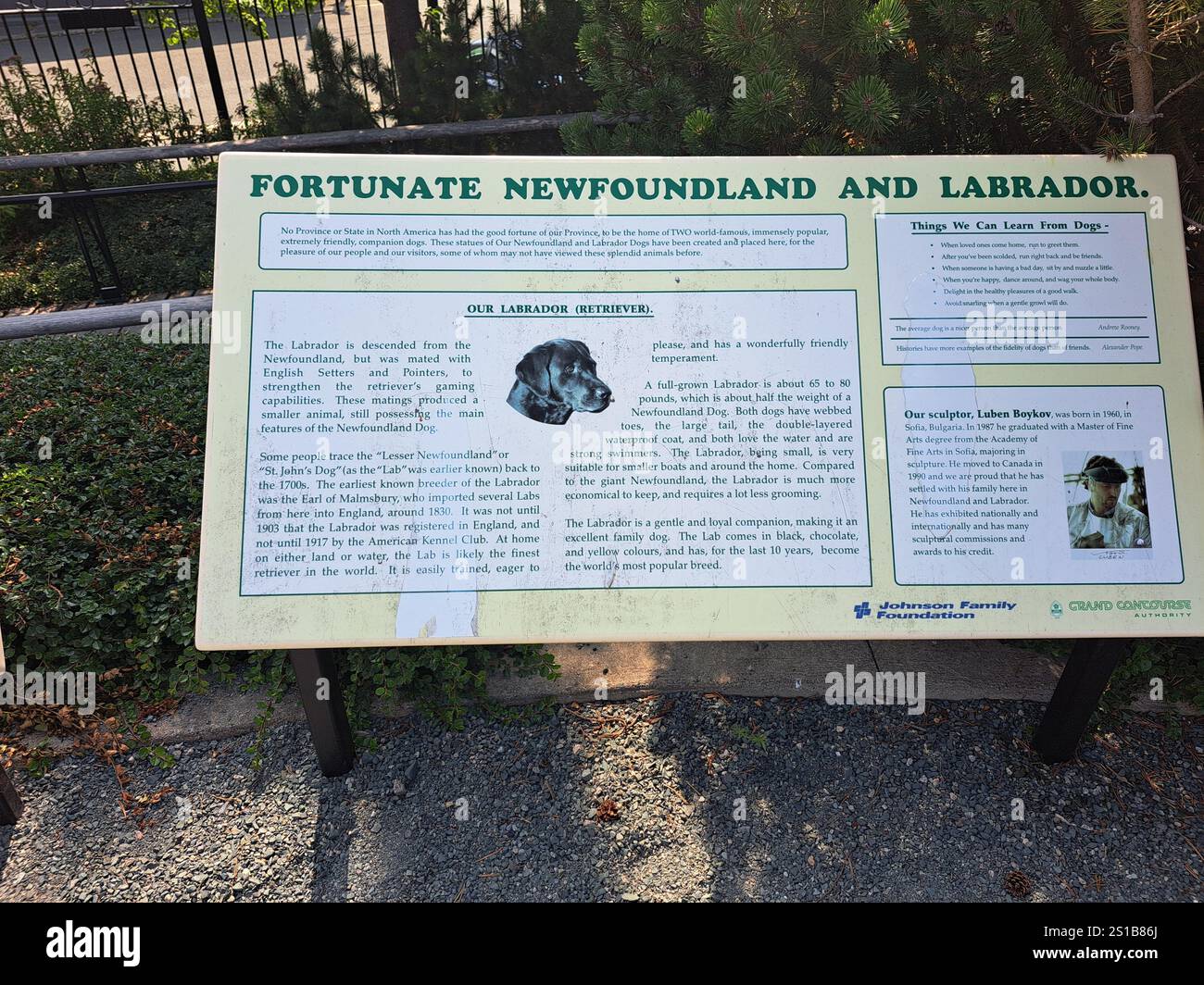 Insegna per le statue di cani di Newfoundland e Labrador retriever nel centro di St. John's, Newfoundland & Labrador, Canada Foto Stock