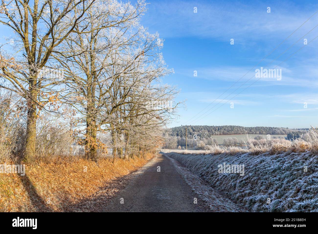 Una strada sterrata in campagna. Una fredda mattinata d'inverno nell'Europa centrale. Foto Stock