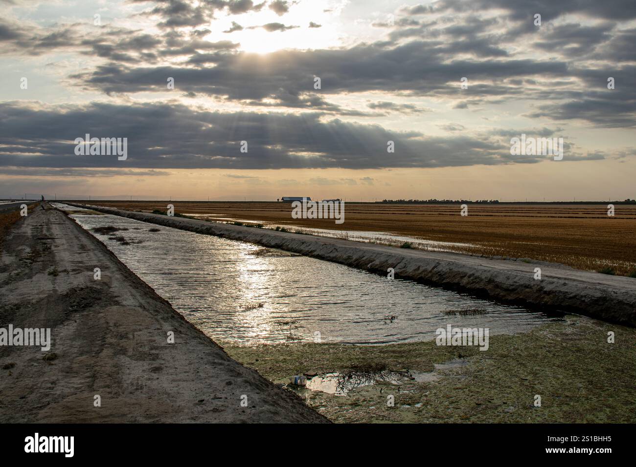 Canale di irrigazione, Corcoran, Kings County, California Foto Stock