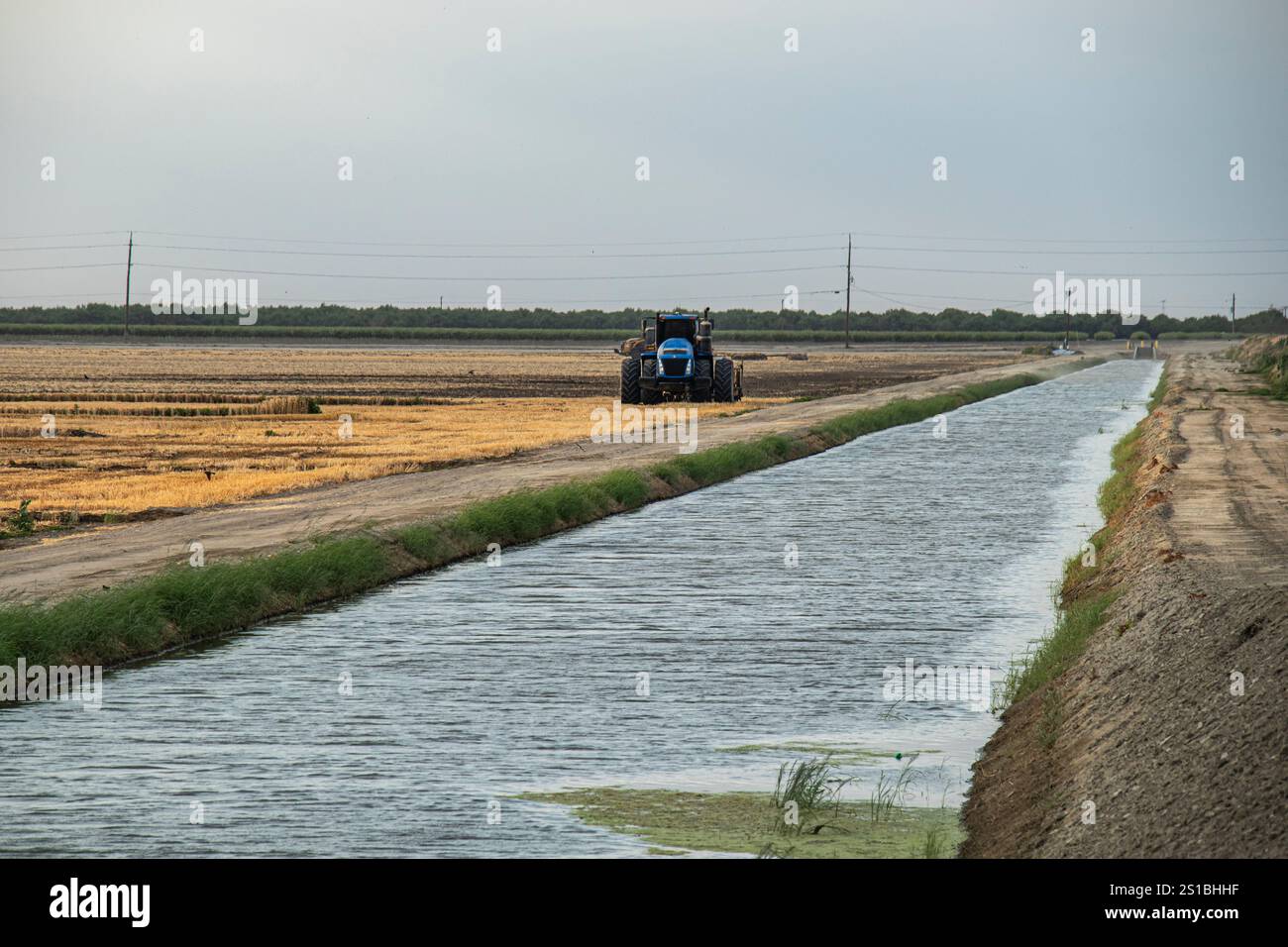 Canale di irrigazione, Corcoran, Kings County, California Foto Stock