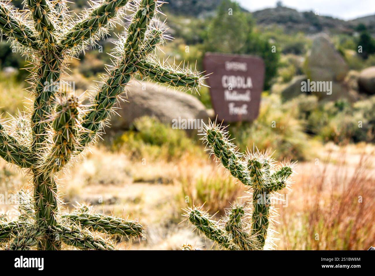 Parco nazionale di Cibola ad Albuquerque, New Mexico Foto Stock