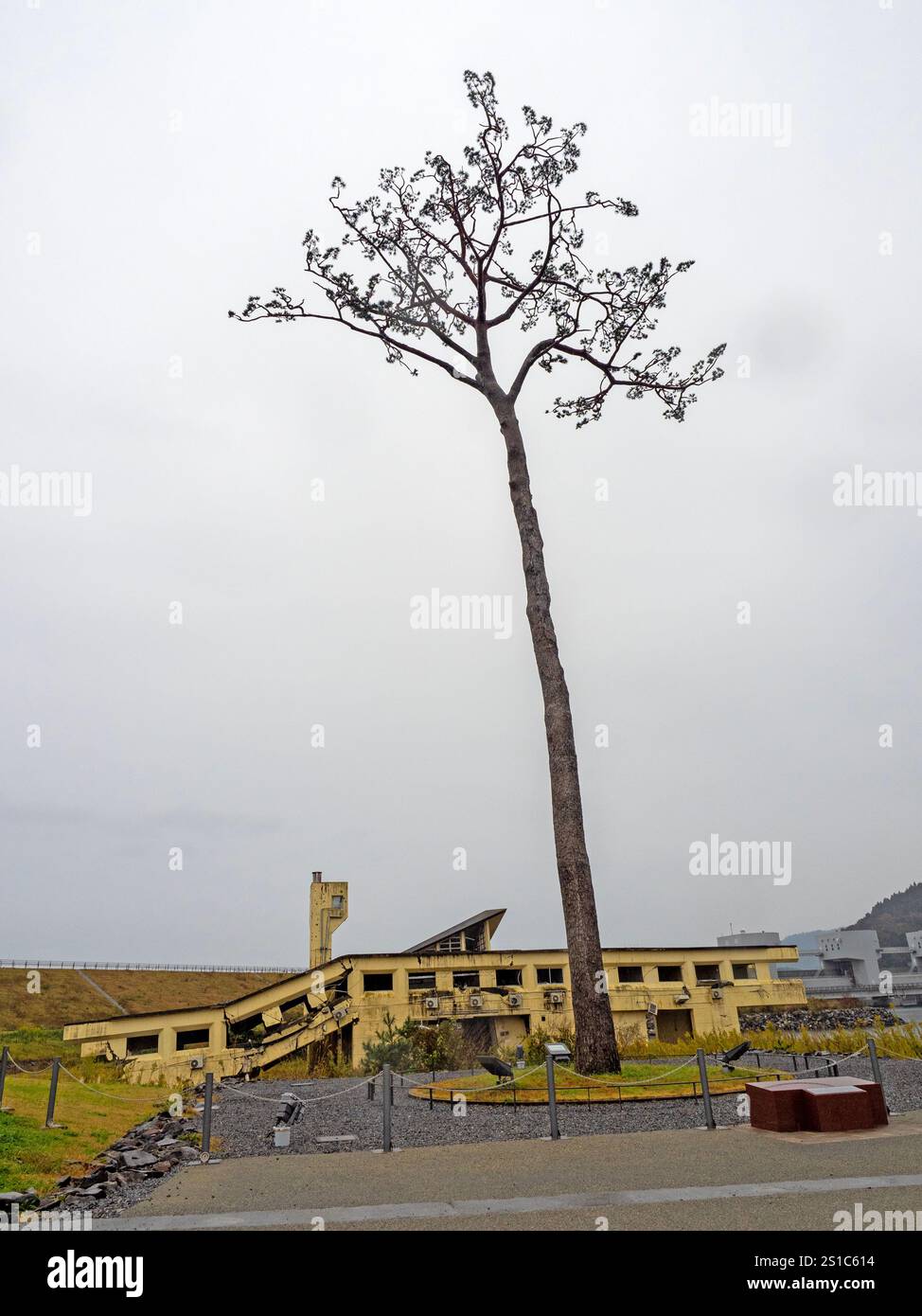 L'ostello della gioventù distrutto e il Miracle Pine al Takatamatsubara Memorial Park per il disastro dello Tsunami a Rikuzentakata. Il pino era l'unico Foto Stock