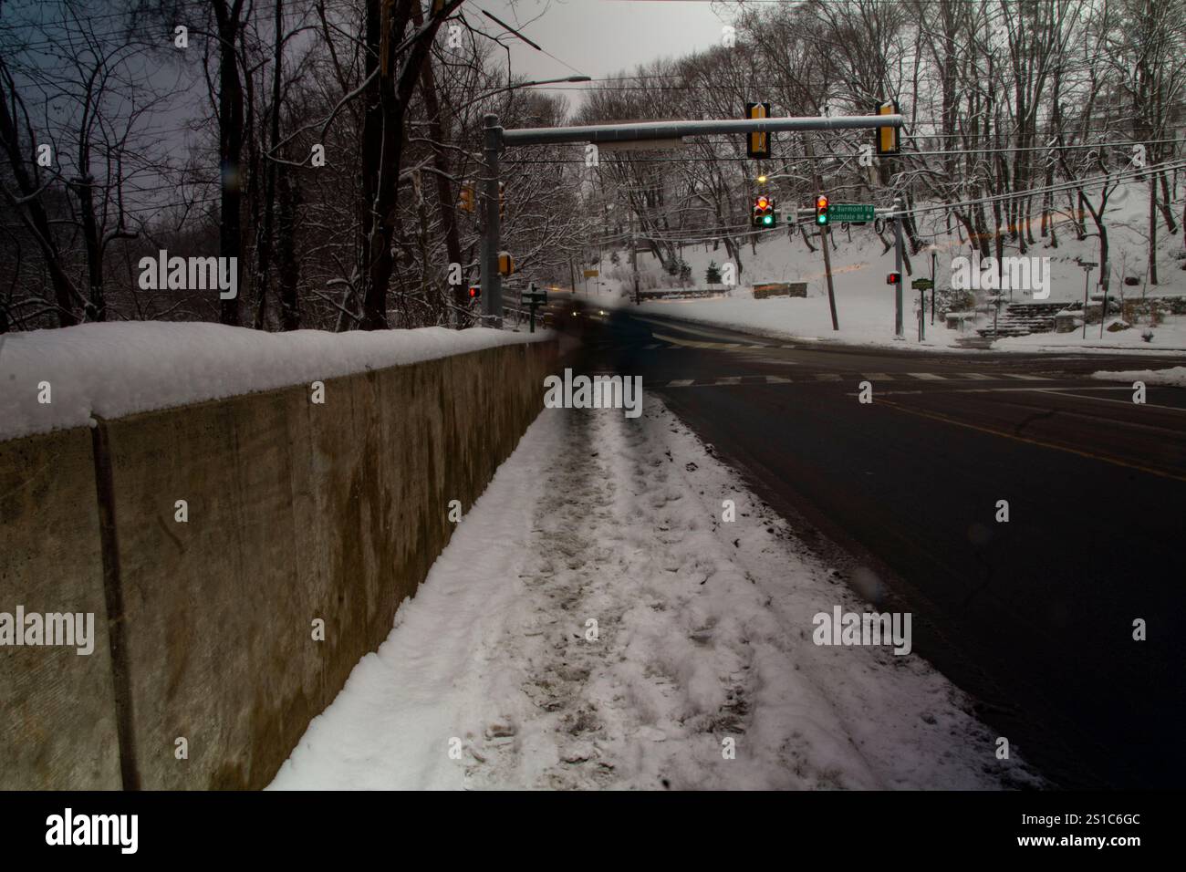 Una coppia spettrale nella neve Foto Stock