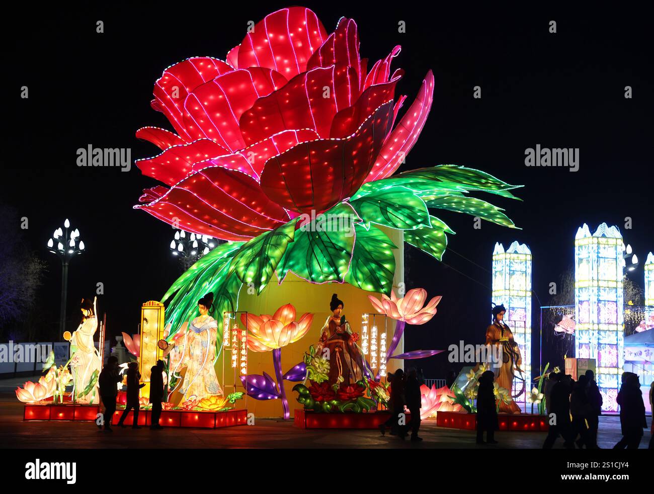 Yinchuan, Cina. 1 gennaio 2025. I cittadini godono delle lanterne a Yinchuan, capitale della regione autonoma Ningxia Hui della Cina nord-occidentale, il giorno di Capodanno del 2025. Credito: Yu Jing/China News Service/Alamy Live News Foto Stock