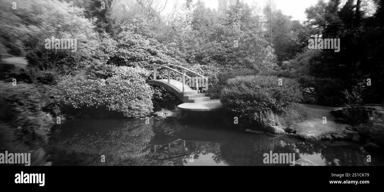 PL21307-00....WASHINGTON - Moon Bridge a Kobota Garden, Seattle. Foto Stock