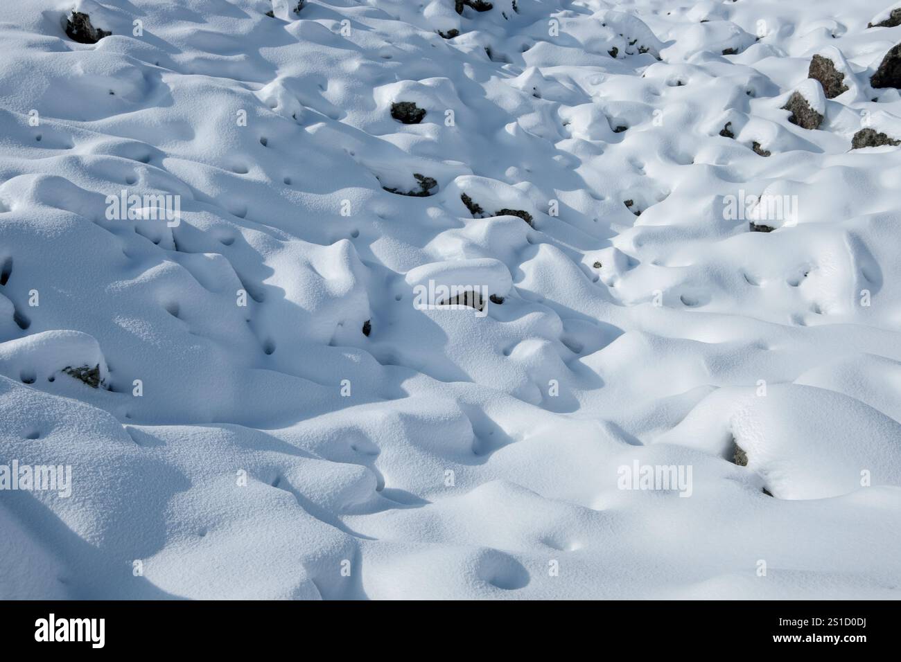Campo lavico innevato nel Parco dell'Etna, Sicilia, Italia Foto Stock