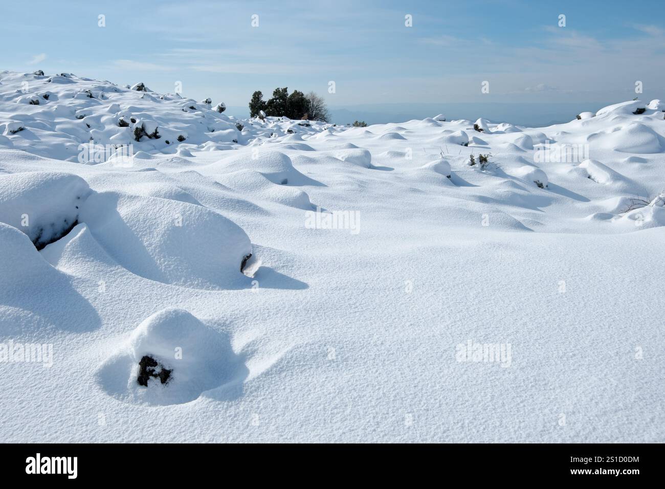 Campo lavico innevato nel Parco dell'Etna, Sicilia, Italia Foto Stock