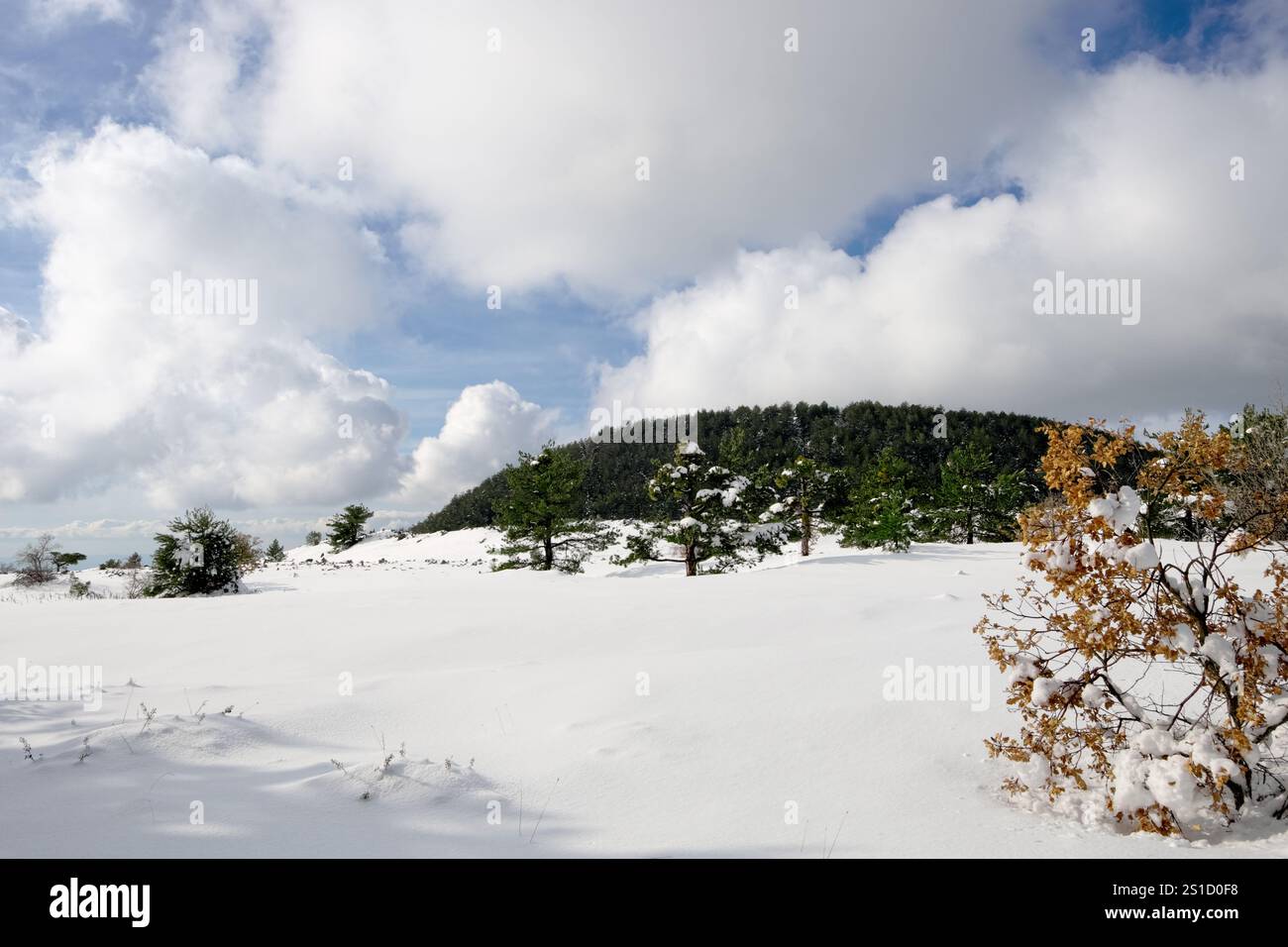 Piano Fiera innevato: Si tratta di un altopiano ad un'altitudine di 1.525 m. racchiuso da tre coni vulcanici, disposti in semicerchio (Monte Gallo, Monte te Foto Stock