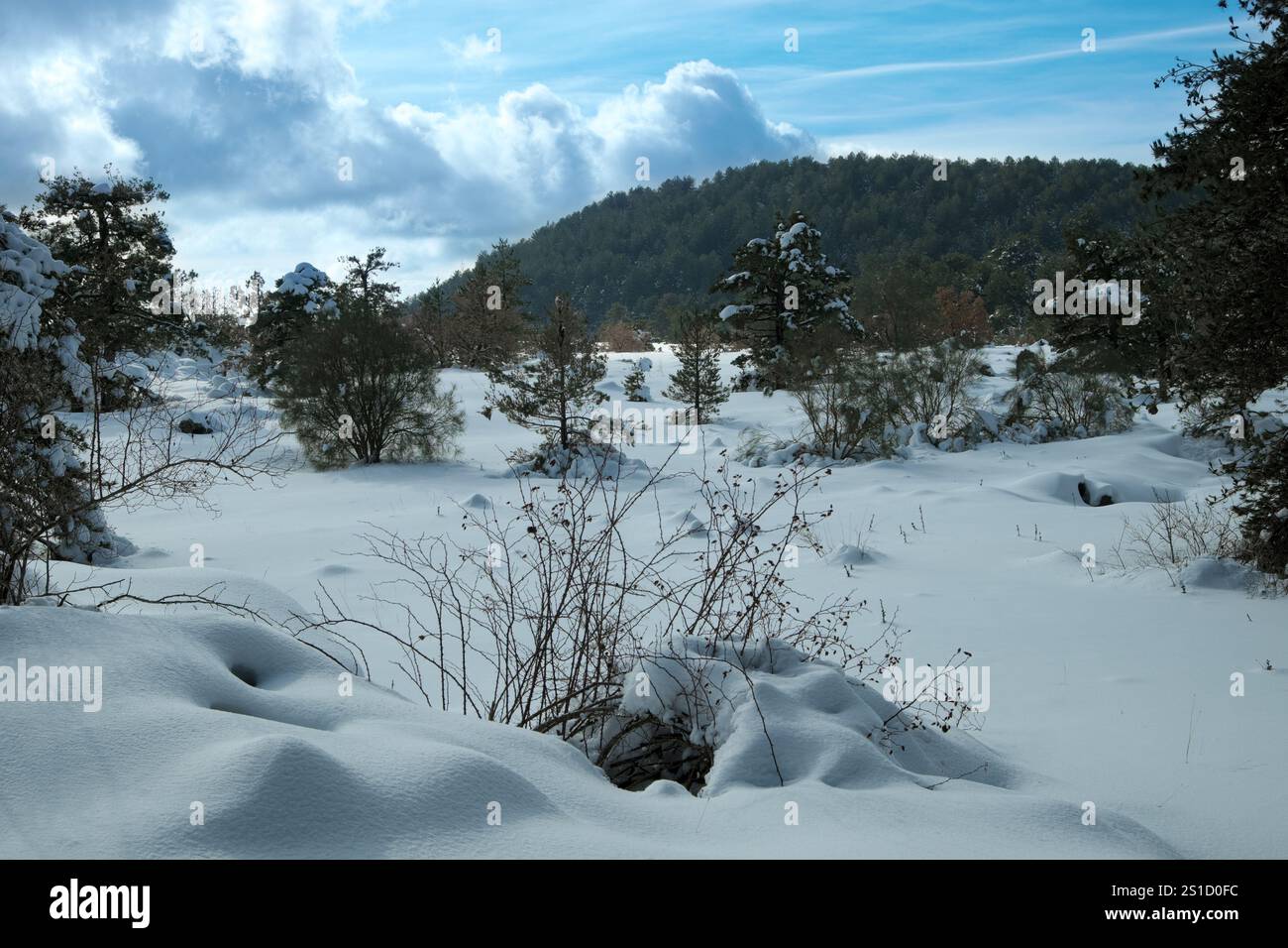 Piano Fiera innevato: Si tratta di un altopiano ad un'altitudine di 1.525 m. racchiuso da tre coni vulcanici, disposti in semicerchio (Monte Gallo, Monte te Foto Stock