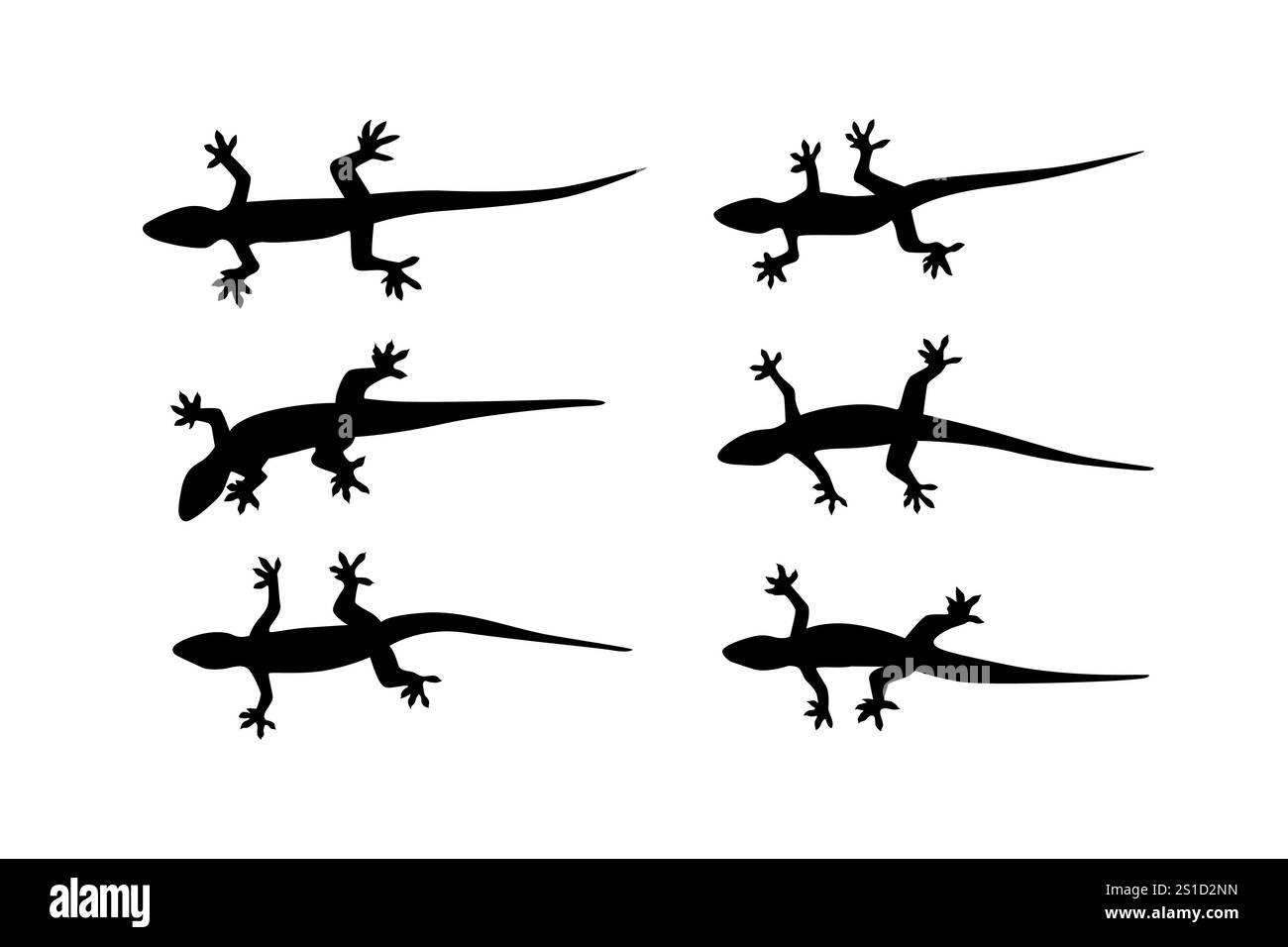 set di forme vettoriali asiatiche per lucertola Illustrazione Vettoriale