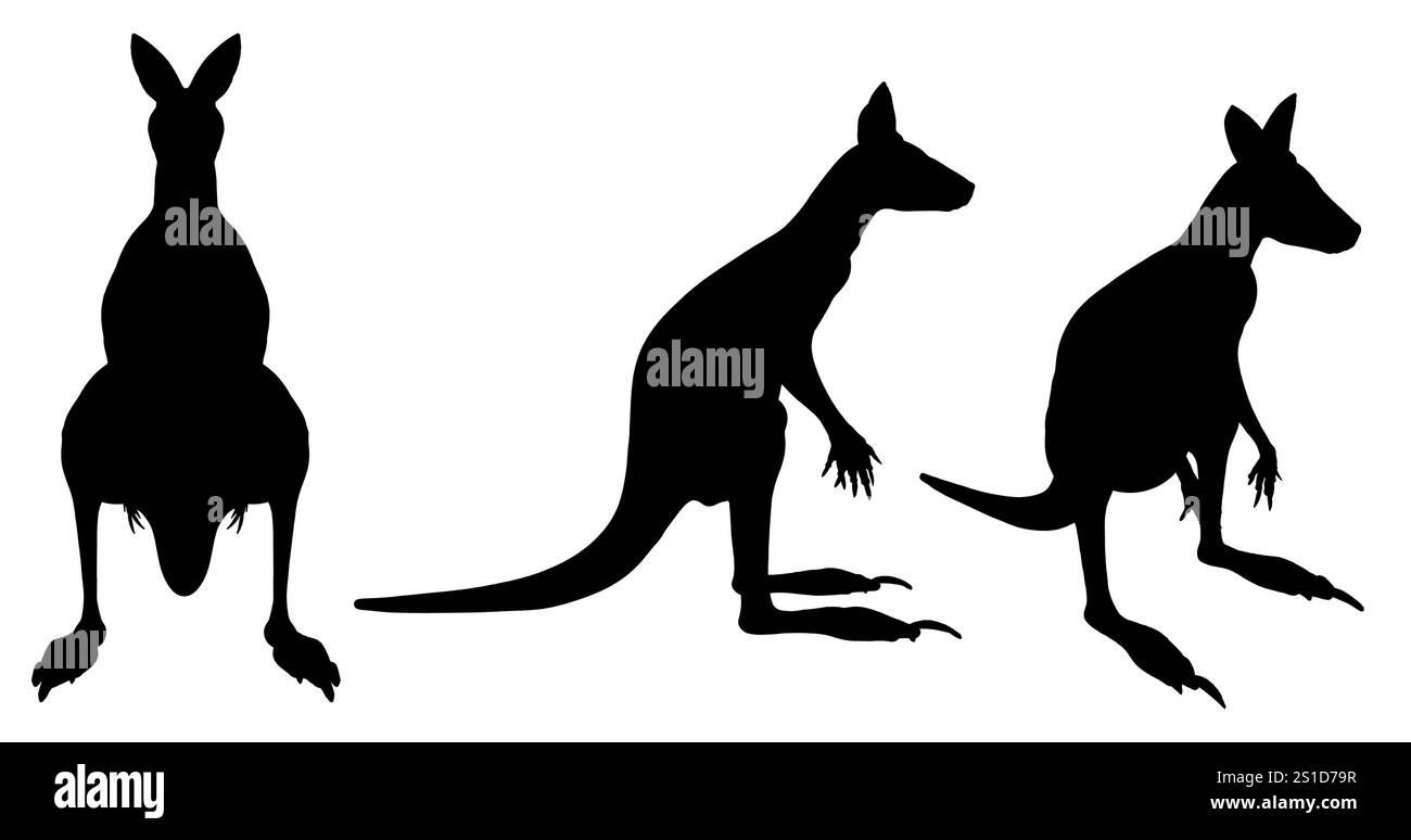 Tre canguri sono mostrati in silhouette, con uno in piedi sulle gambe posteriori e gli altri due seduti sulle gambe posteriori. I canguri sono tutti di fronte Illustrazione Vettoriale