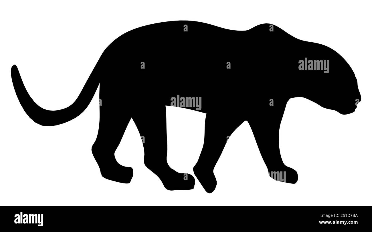 La pantera nera cammina su uno sfondo bianco. La pantera è il punto focale principale dell'immagine e si muove con lo scopo. Il colore bianco e nero S Illustrazione Vettoriale