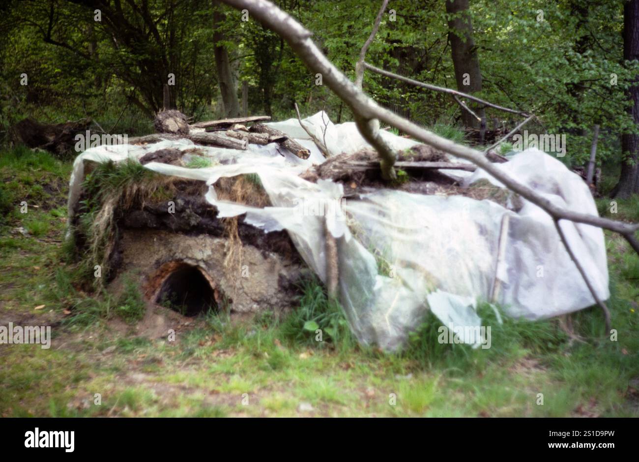 Forno di ceramica Romano-British, Alice Holt Forest, Farnham, Surrey, Inghilterra, UK1983 Foto Stock