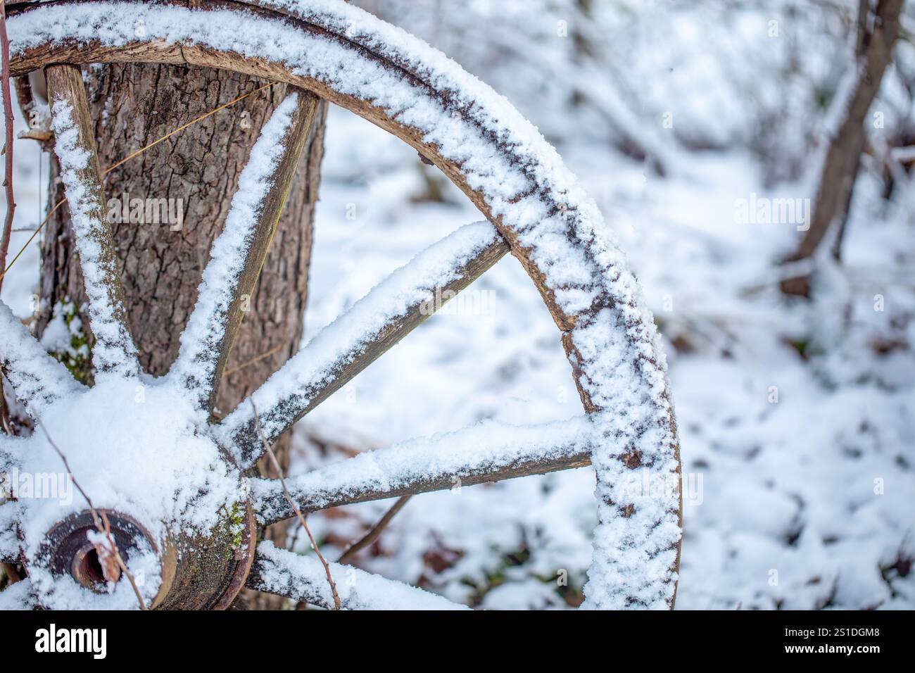 Ruota motrice innevata in un ambiente invernale rustico Foto Stock