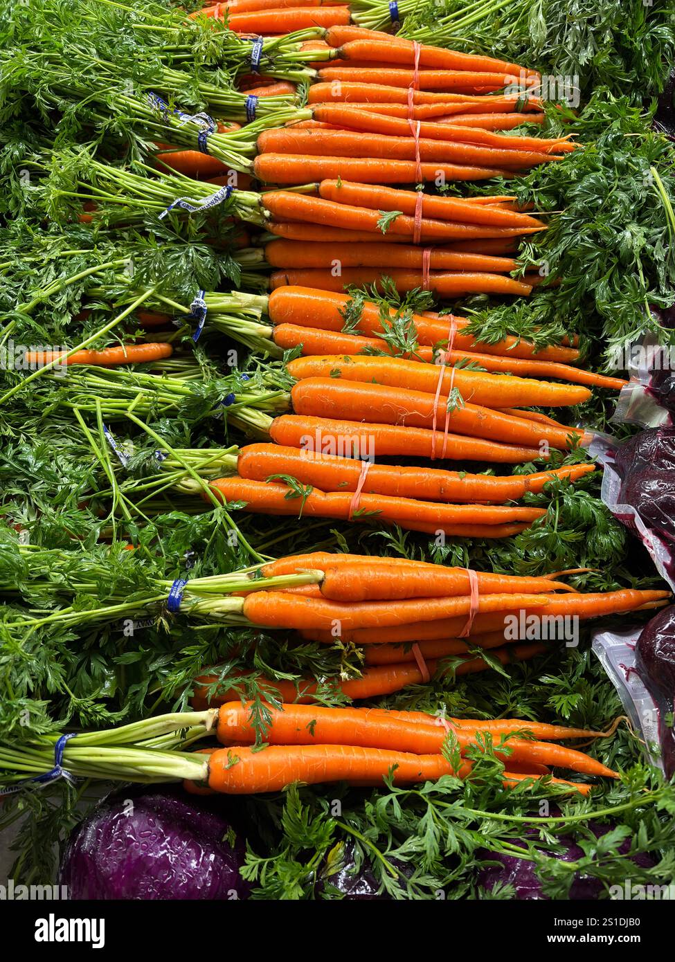 Carote d'arancia fresche con ripiani verdi a foglia in mostra al mercato Foto Stock