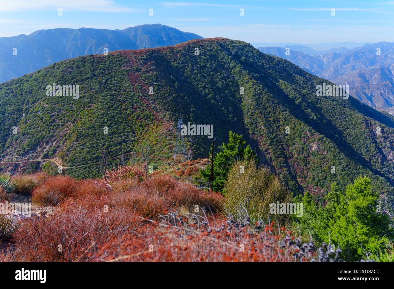 Ampia vista delle lussureggianti montagne verdi e della vibrante vegetazione della Angeles National Forest, che mette in risalto la bellezza naturale della California meridionale. Foto Stock