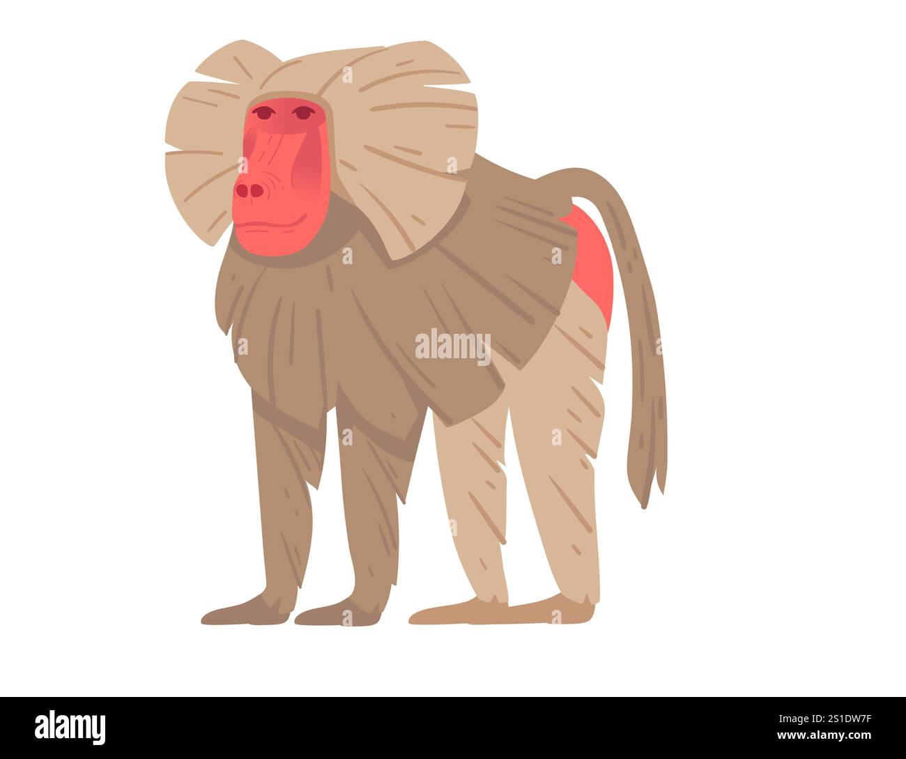 Babbuino cartoni animati in posizione verticale con volto rosso e dettagli in pelliccia. Adatto per progetti a tema naturalistico, educazione alla fauna selvatica o illustre zoologico Illustrazione Vettoriale
