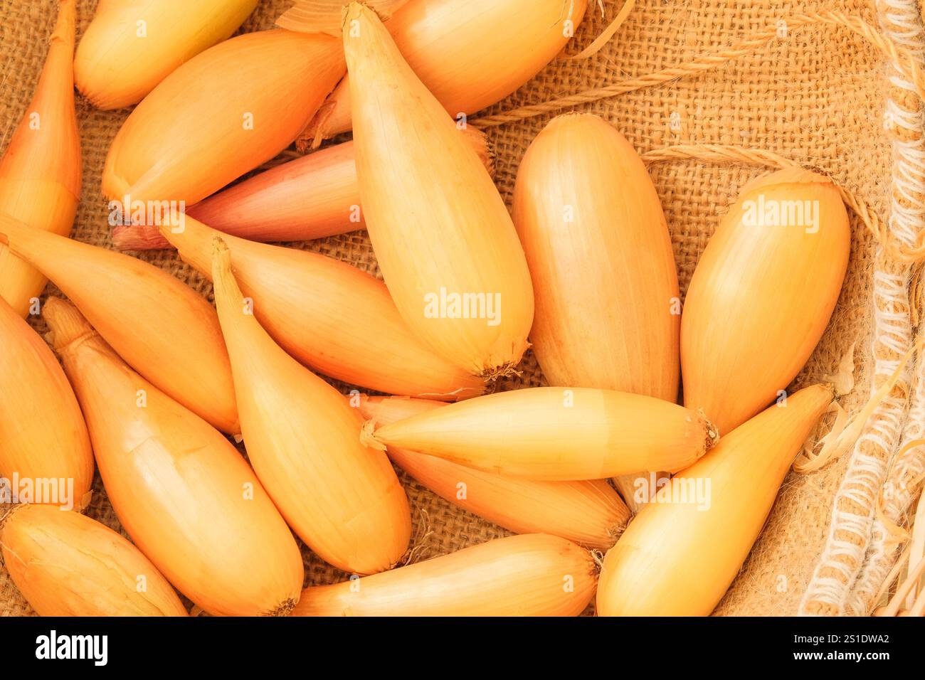 Cipolla in un cestello di paglia. Verdure mature all'arancia. Radice commestibile con un forte odore e sapore. Vista dall'alto. Foto Stock