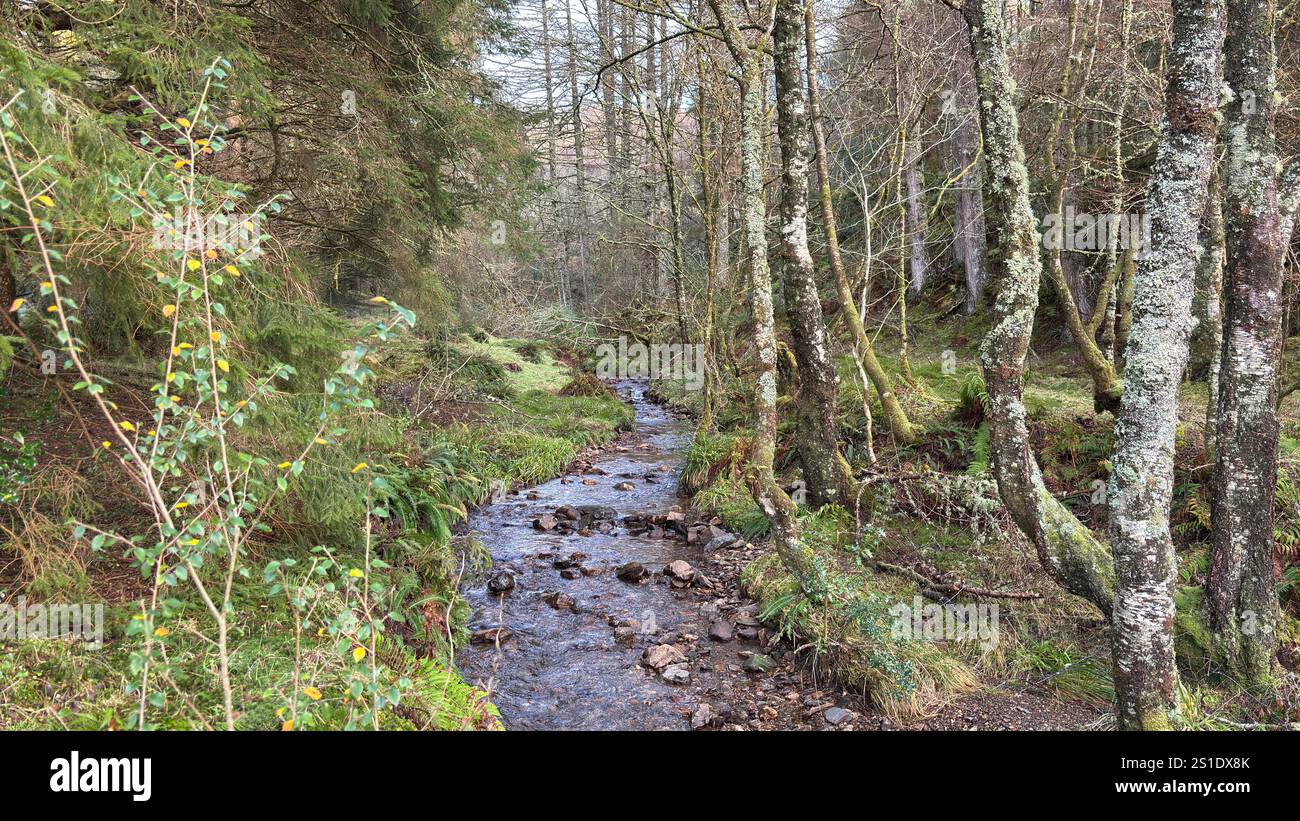 Camminata in collina a Glen Righ in Scozia. Vista panoramica sulle colline e i Glens delle Highlands scozzesi - Immagine stock catturata con smartphone
