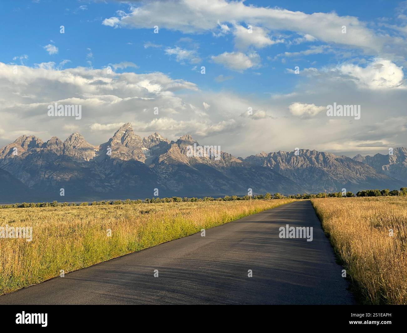 Catena montuosa del Grand Teton National Park, Wyoming, Stati Uniti Foto Stock