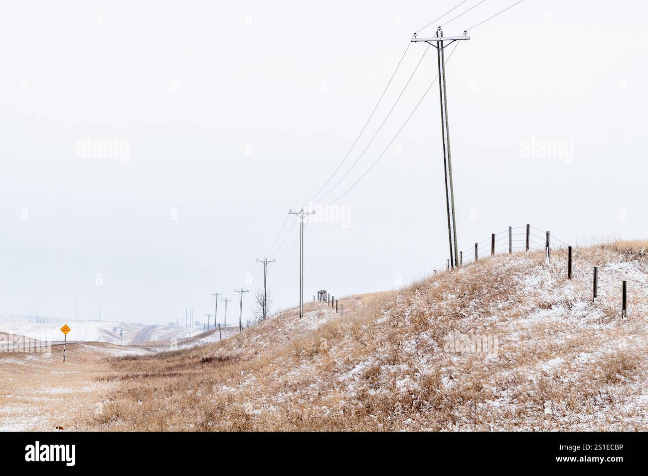Paesaggio invernale ricoperto di neve con linee elettriche e pali di recinzione in legno che si estendono attraverso i terreni agricoli di Rowley, Alberta, Canada Foto Stock