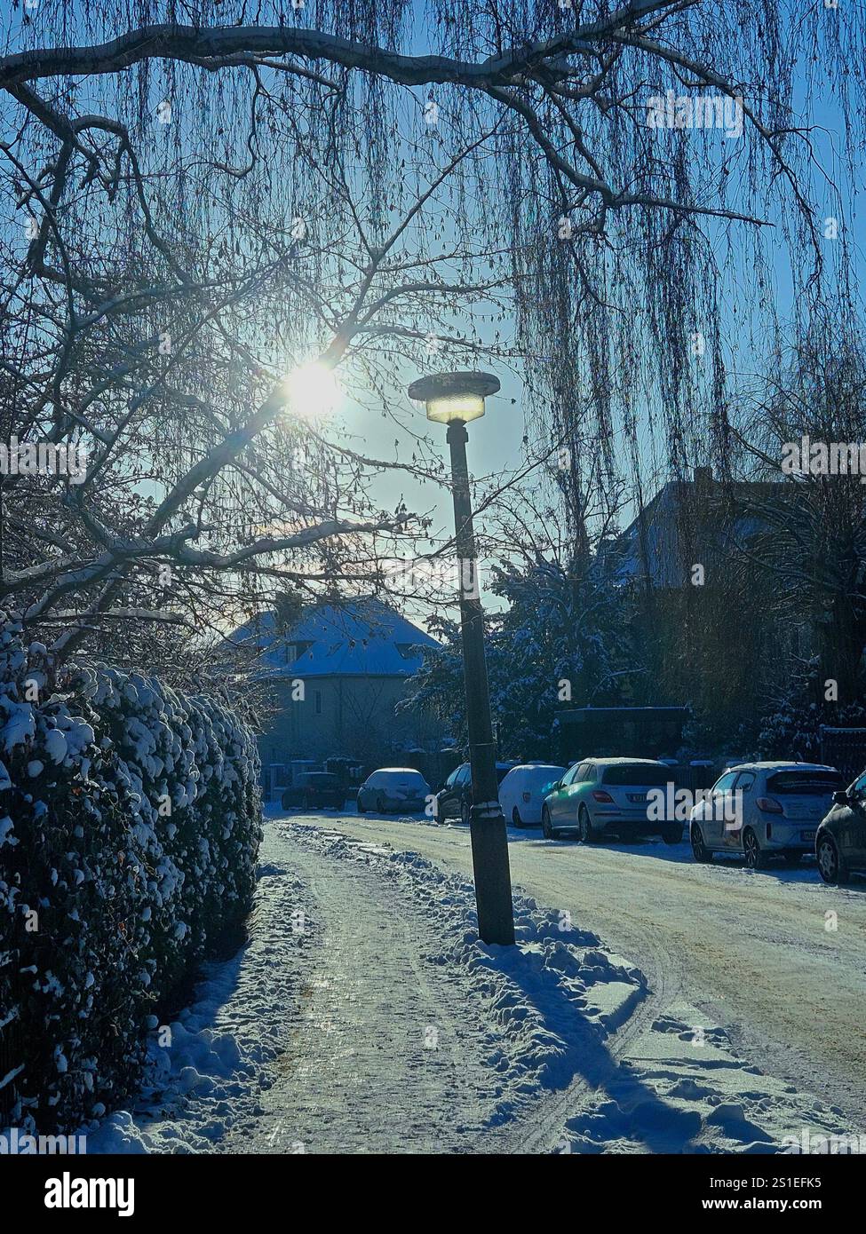 una mattina fredda, tranquilla e nevosa d'inverno mentre il sole splende Foto Stock