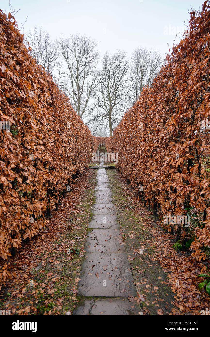 Siepi simmetriche nel giardino formale di Nijsinghhuis, Eelde in inverno, con un sentiero lastricato che conduce a ornamenti scultorei Foto Stock