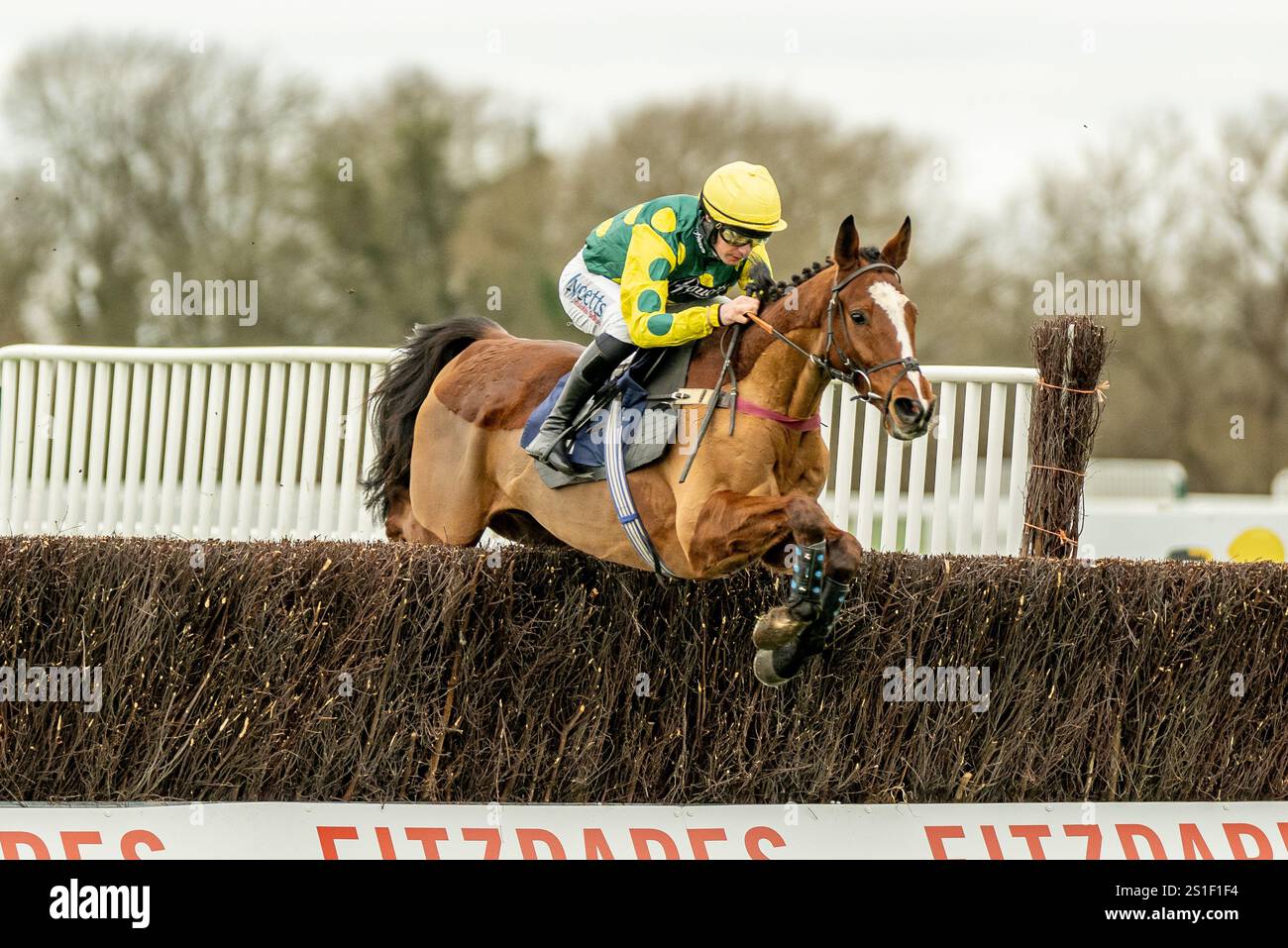 Immagine dall'ippodromo Royal Windsor di Jumps Horse Racing il 15 dicembre 2024. 1st Jump Race a Windsor da oltre 20 anni. Foto Stock