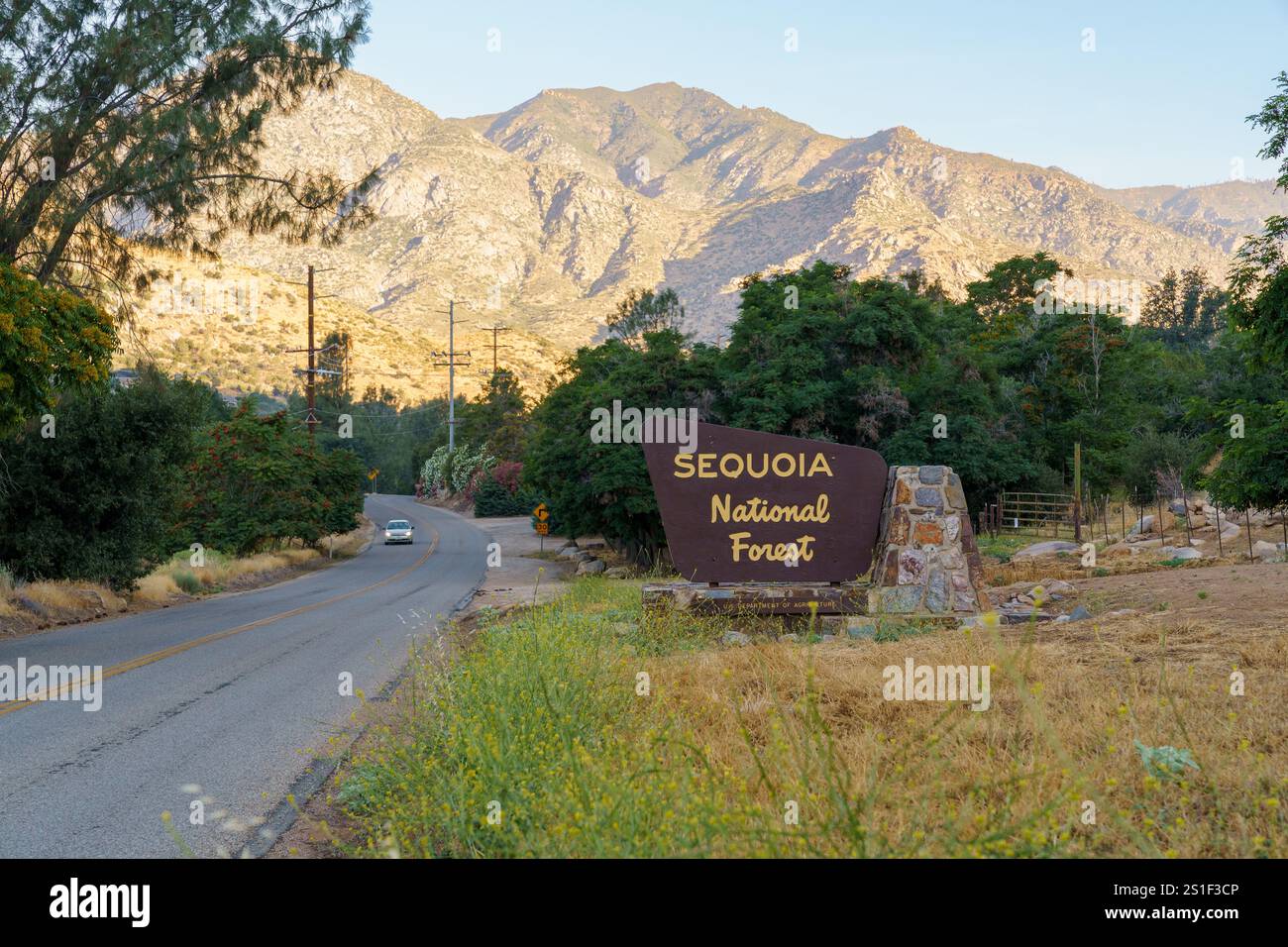 Sequoia National Forest cartello di ingresso marrone in legno con auto e montagne in lontananza Foto Stock