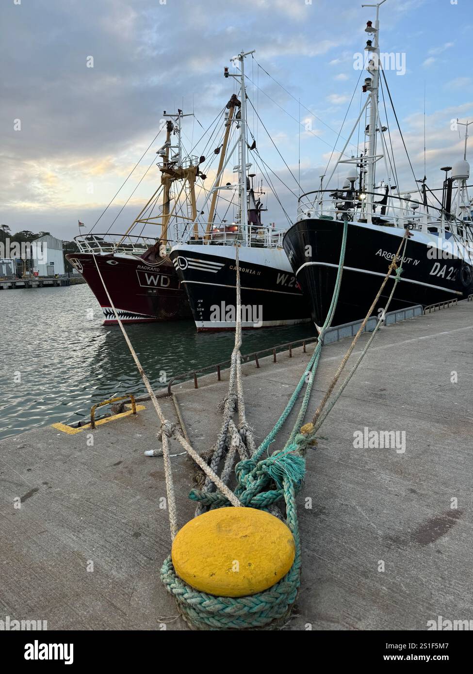 Barche da pesca ormeggiate al porto di Dunmore East, Contea di Waterford, Irlanda. Foto Stock