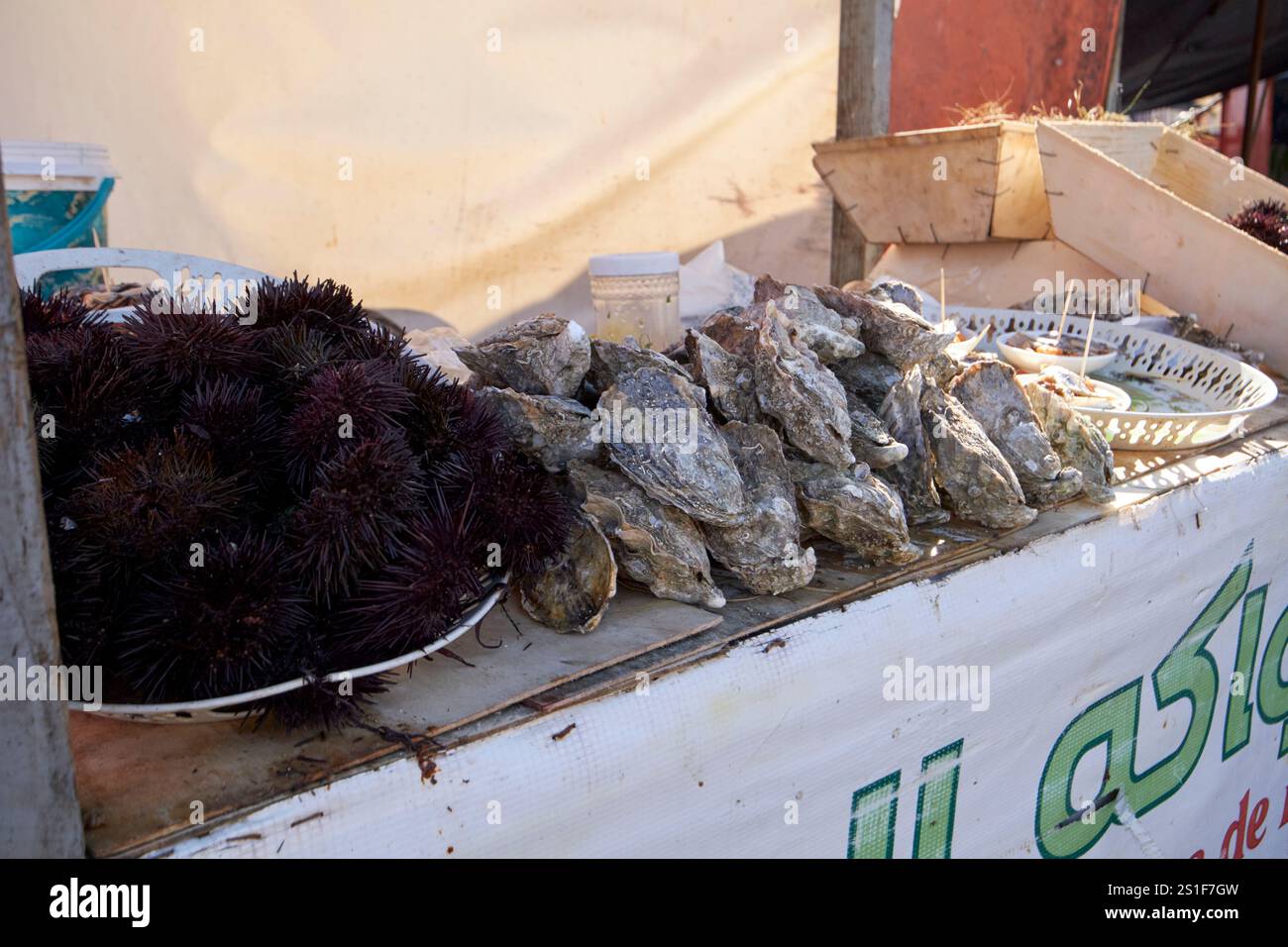 selezione di ricci di mare freschi e ostriche in vendita da un banco al largo delle barche da pesca nel porto di essaouira, in marocco Foto Stock