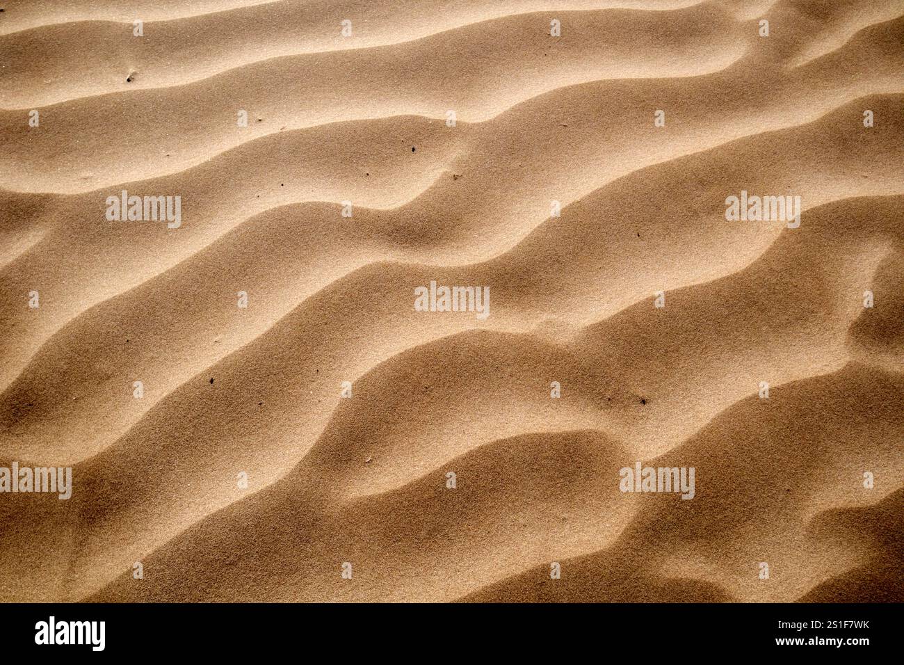 il vento soffia la sabbia ondulata sulla spiaggia ventosa di essaouira, marocco Foto Stock