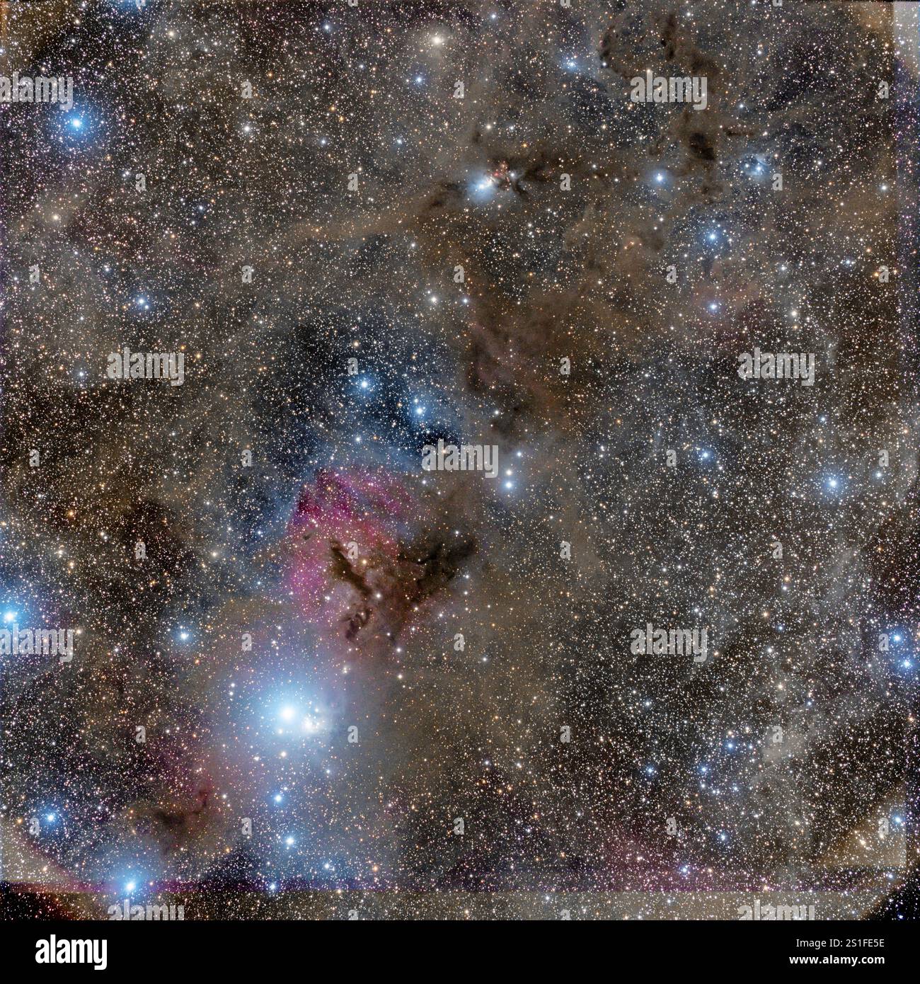 NGC 1333 è una nebulosa a riflessione situata nella costellazione settentrionale di Perseo. astrofotgrpahy reale. Dati per teelscope Live. Foto Stock