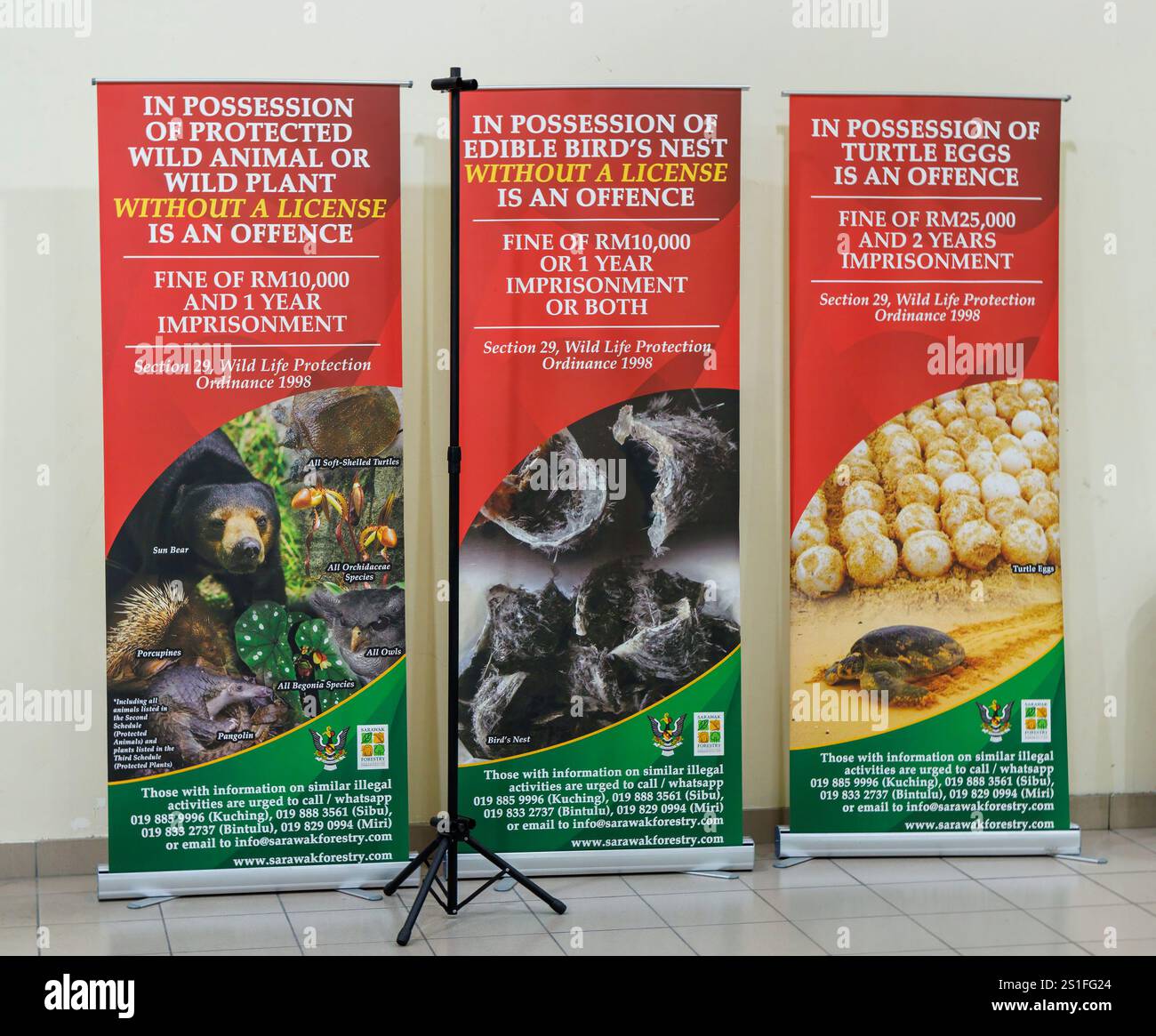 Segnali informativi probition del traffico di animali, nidi di uccelli commestibili o uova di tartaruga all'aeroporto di mira, Malesia Foto Stock