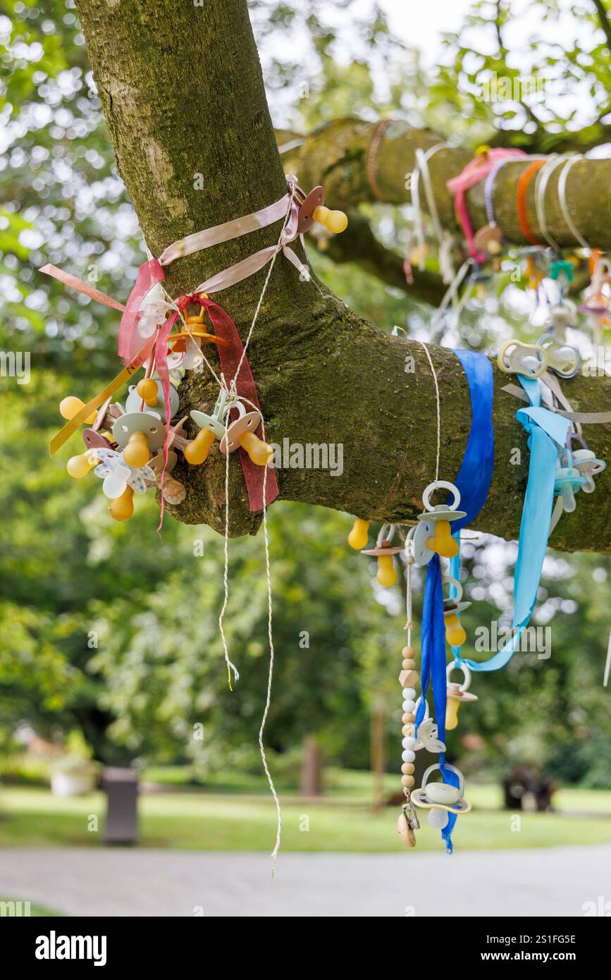 Albero decorato nel parco pubblico Romain de Vidts, Sint-Niklaas, Waasland, Belgio Foto Stock