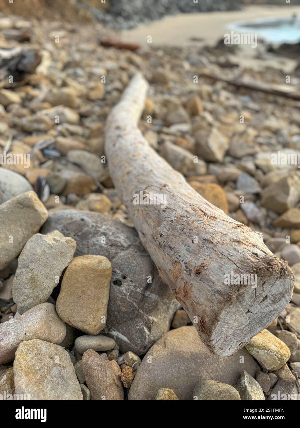 Driftwood Logand scogli sulla Pescadero State Beach sull'autostrada 1 nella contea di San Mateo, California, il giorno di Capodanno 2025. - Immagine stock catturata con smartphone
