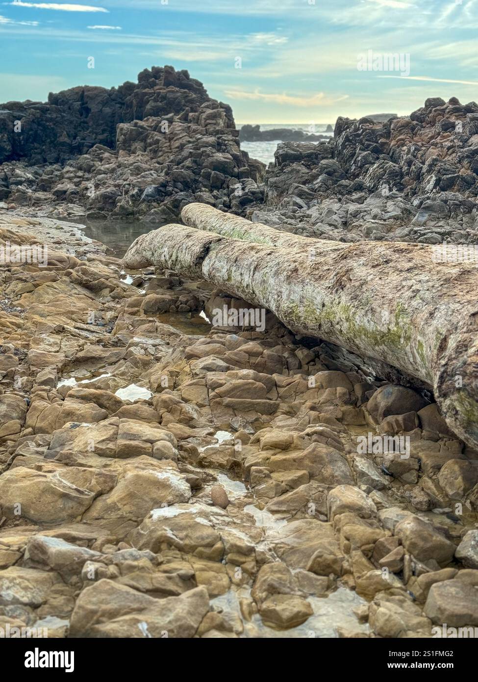 Driftwood Logand scogli sulla Pescadero State Beach sull'autostrada 1 nella contea di San Mateo, California, il giorno di Capodanno 2025. - Immagine stock catturata con smartphone