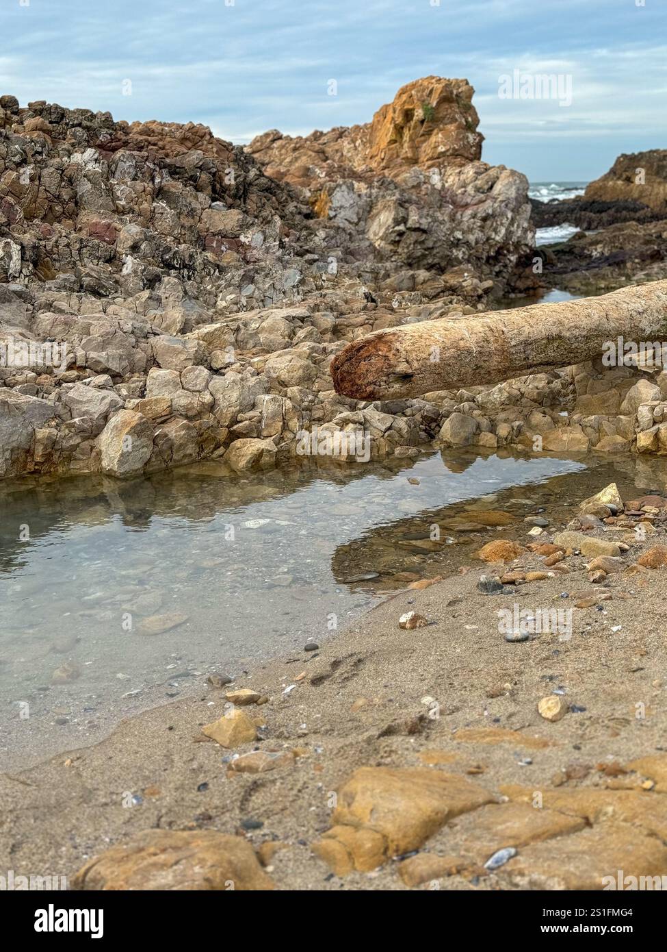 Driftwood Logand scogli sulla Pescadero State Beach sull'autostrada 1 nella contea di San Mateo, California, il giorno di Capodanno 2025. - Immagine stock catturata con smartphone