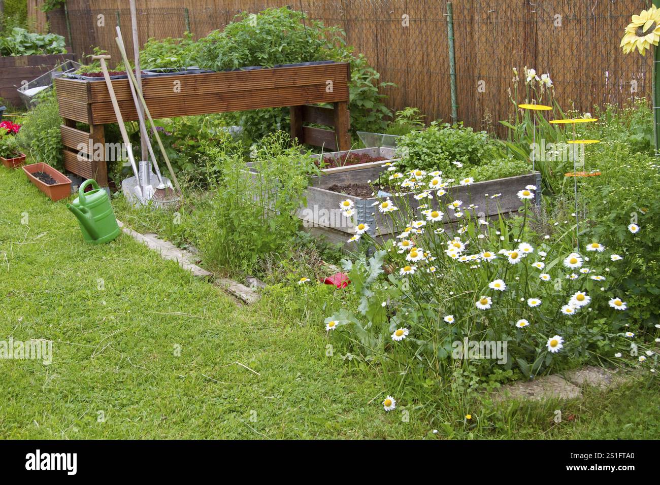 Letti da giardino e letti rialzati con fiori in estate Foto Stock