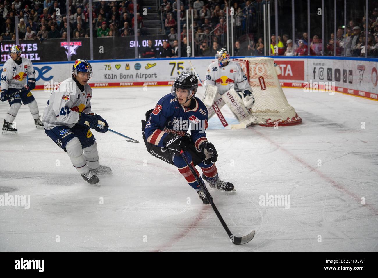 03.02.2025, DEL, German Ice Hockey League stagione 2024/25, 33. Giorno di partita: Kölner Haie contro i Red Bulls Monaco Foto Stock